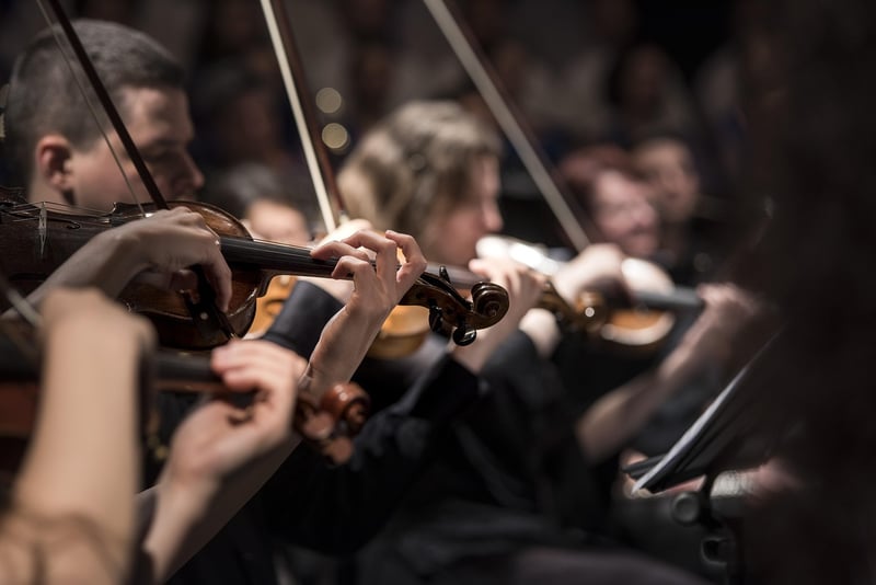 Live Music Performances